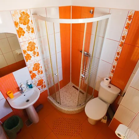 Casa Leahu 3* كوستِنيست