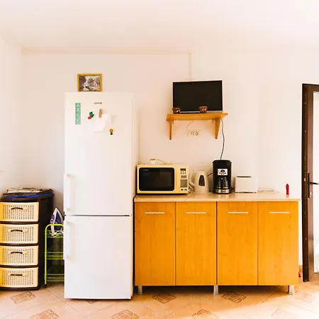 Casa Leahu 3* كوستِنيست