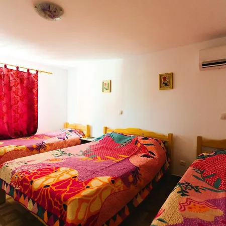 بيت ضيافة Casa Leahu