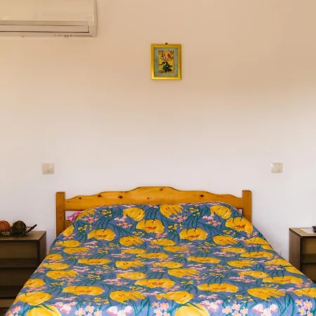 بيت ضيافة Casa Leahu كوستِنيست