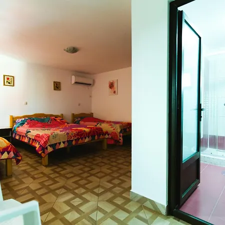Casa Leahu بيت ضيافة كوستِنيست