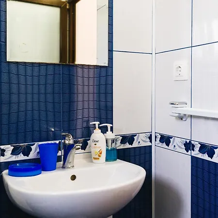 بيت ضيافة Casa Leahu كوستِنيست